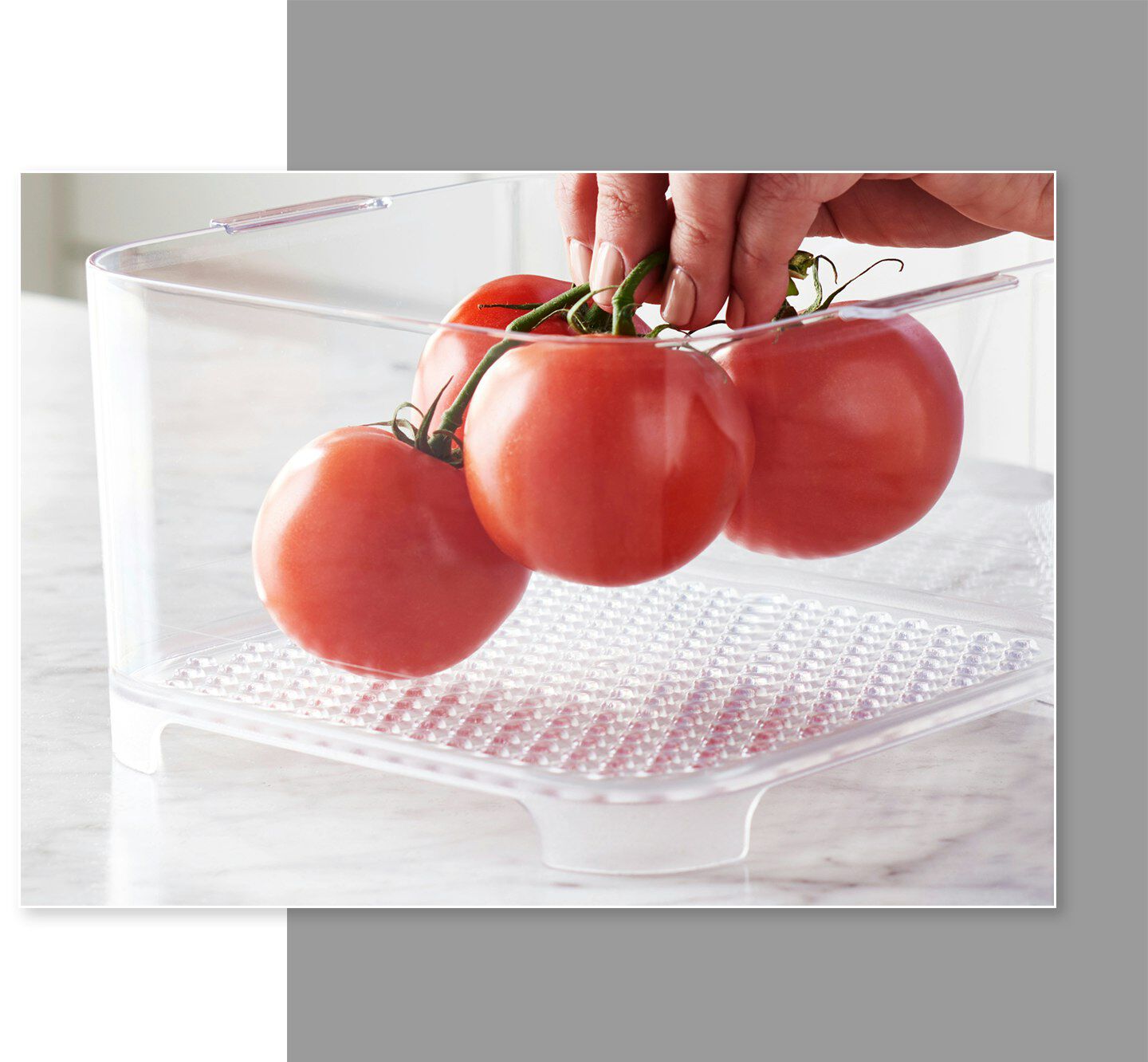 FreshWorks countertop produce storage container tomatoes
